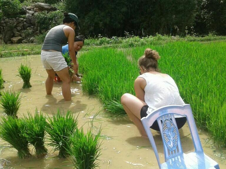 Yen Nhi Homestay Ban Gioc  Cao Bang Dış mekan fotoğraf